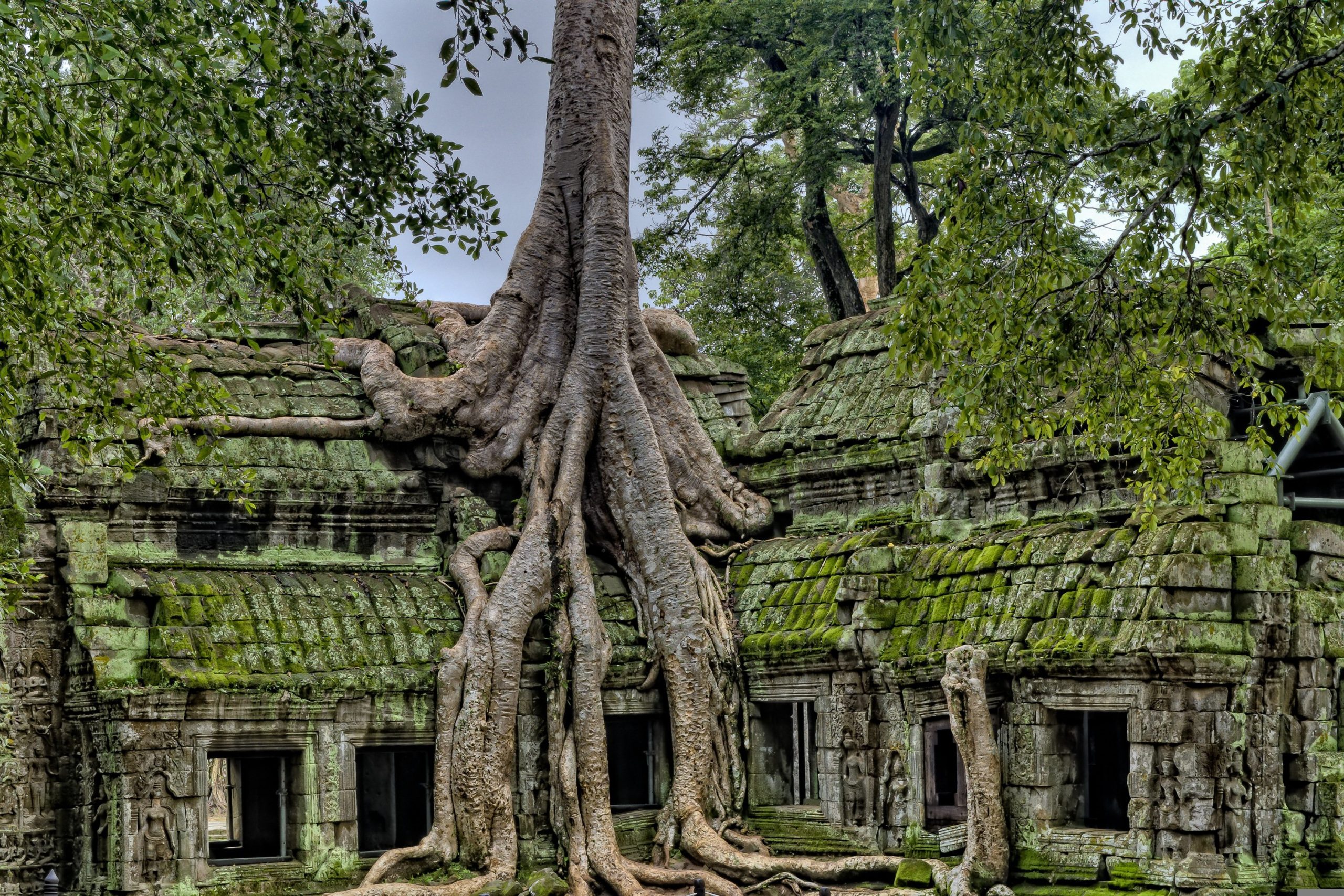 Southern Vietnam & Cambodia 13 days