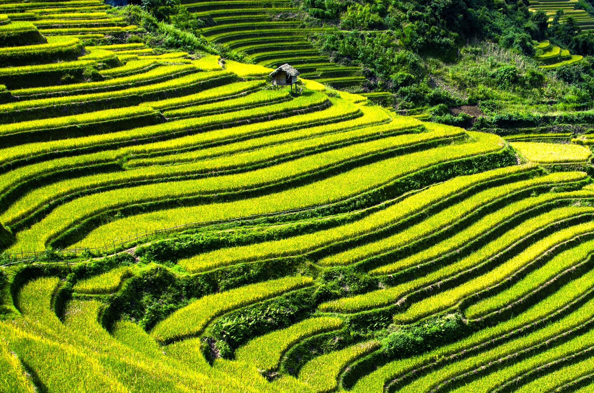 Authentic Vietnam 19Days