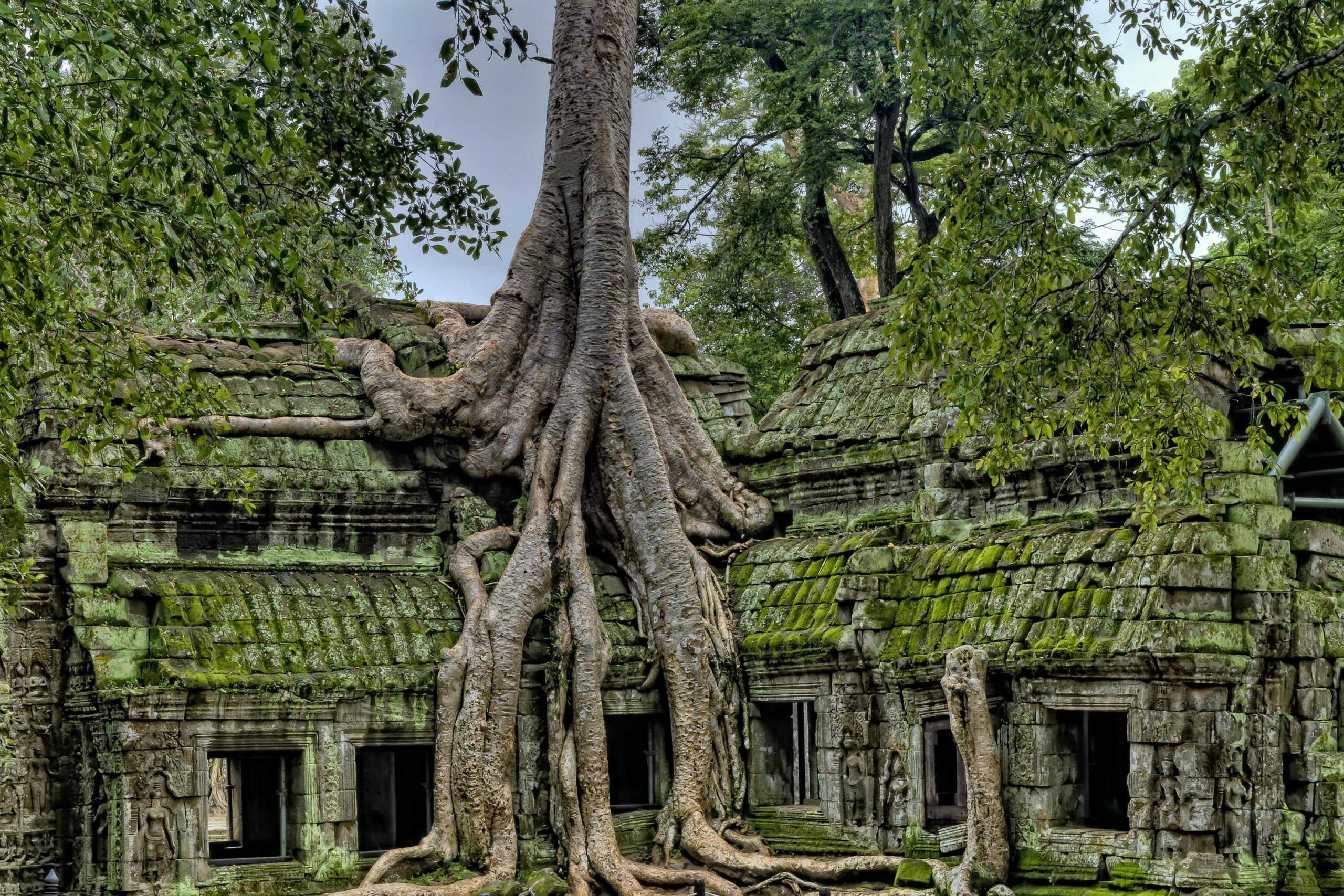 A Glimpse Of Cambodia 5Days